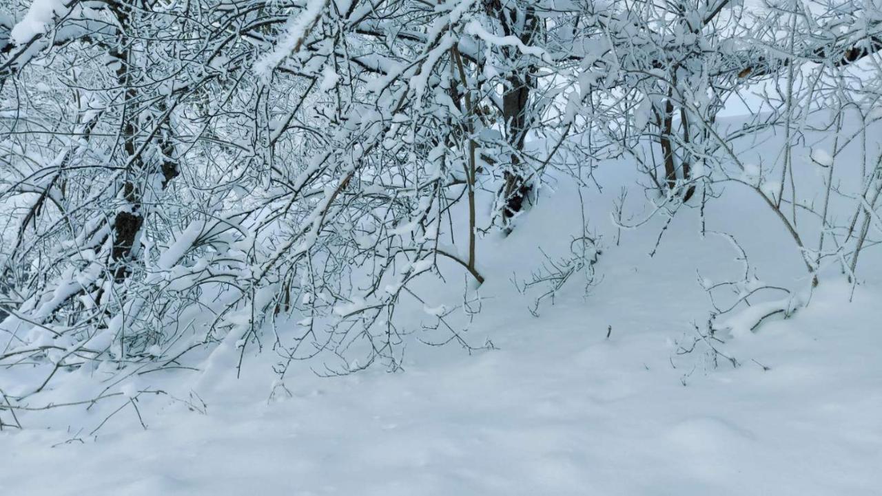 Marko'S Apartments Kopaonik Zewnętrze zdjęcie