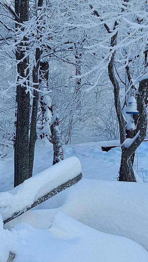 Marko'S Apartments Kopaonik Zewnętrze zdjęcie